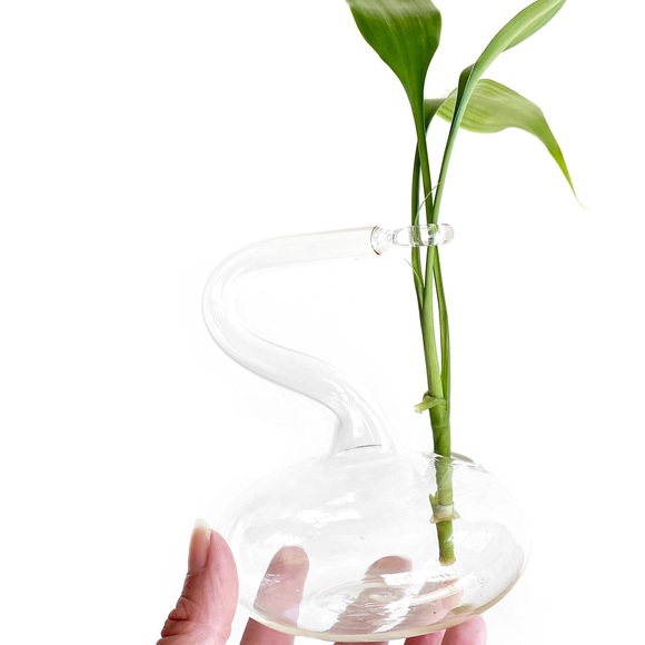Other - Unique Glass Plant Propagation / Bud Vase Decor